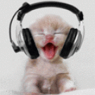 Kitten with head phones