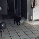 Kitty's late reaction