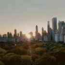 Central Park time lapse