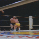 Wrestling midget face slide