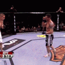 Amazing fighting skills