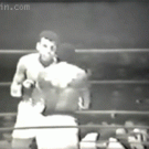 Muhammad Ali dodging punches