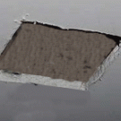 Ceiling cat is watching you