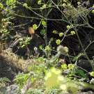 Spot the difference #2