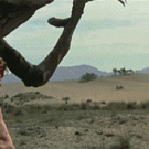 Conan sees the Kool - Aid guy