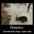 Motivational poster: Bunnies
