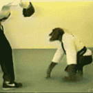 Karate chimp