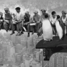 Lunch Atop a Skyscraper - Falling penguins