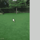 Man tripping on the title tag