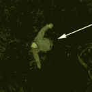 Forum thread wrecker