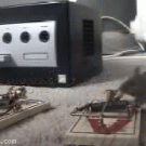 Mousetrap doublekill