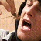 Bear Grylls eats nasty stuff