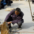 Monkey beats owner in the head with a stick