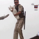 The cat in the air conditioner trick