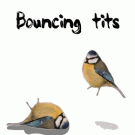 Bouncing