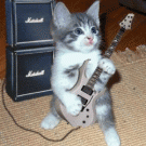 Cat playing the guitar