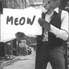 Subterranean Homesick Cat