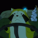Racoon driving
