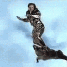 The silver crocodile surfer