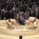 Sumo fight