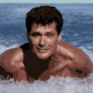 The Hoff swimmin'