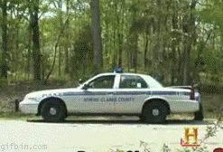 1263383181_vertically_challenged_cop.gif
