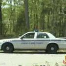 Vertically-challenged cop