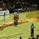 Mascot vs referee