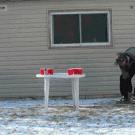 Surprise Santa lands on beer pong table