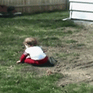 Kid vs. two dogs
