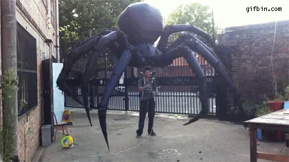 1327515887_giant_spider_puppet.gif