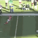Jerome Simpson front flip touchdown