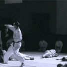 Ip Man - Yip Man punches opponent