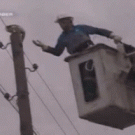 Unfriendly cat rescue