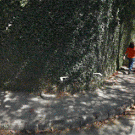 Sumble caught on Google Street View