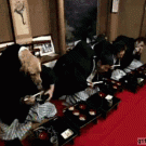 Dog eats in japanese restaurant