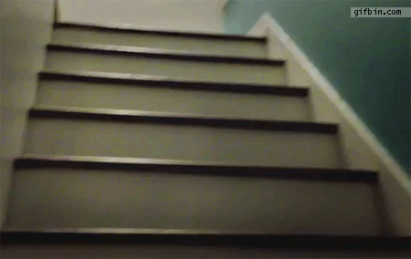 1357754903_pug_hops_up_stairs.gif