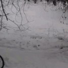 Bike jump gone wrong