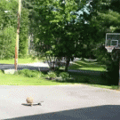 BMX skateboard basketball trick shot