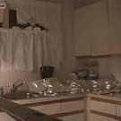 Cat tin foil counter surprise