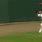 Baseball catch fail knock-out