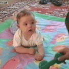 Baby follows toy with eyes