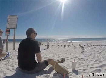 1422297358_guy_catches_seagull_at_the_beach.gif