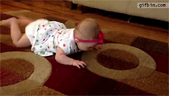 1423072608_dog_shows_baby_how_to_crawl.gif