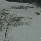 Deer survives blast demolition