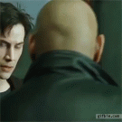 Morpheus parkour fail