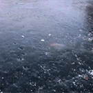 Firework bottle rocket under frozen lake