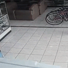 Woman steals TV under her dress