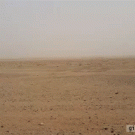 Saudi tractor swing