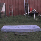 Gymnastics girl lands on kitten